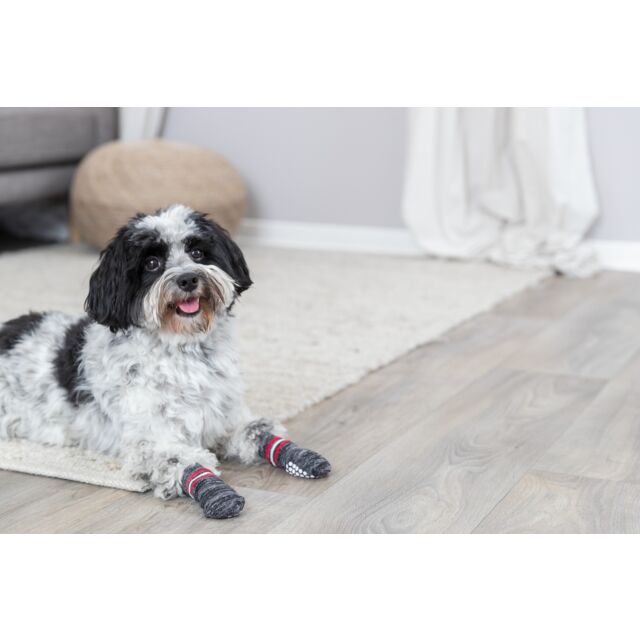 Trixie Grey Cotton Non-Slip Dog Socks | Paw Protection & Grip Socks for Slippery Floors (1 Pair)