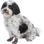Trixie Grey Cotton Non-Slip Dog Socks | Paw Protection & Grip Socks for Slippery Floors (1 Pair)