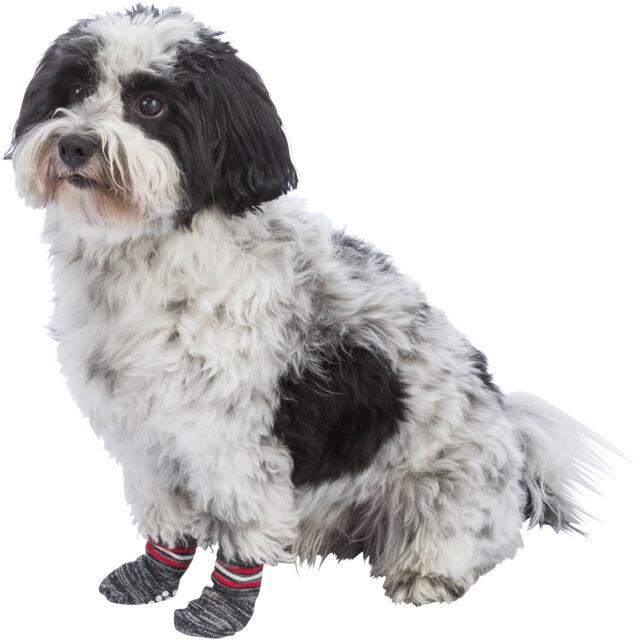 Trixie Grey Cotton Non-Slip Dog Socks | Paw Protection & Grip Socks for Slippery Floors (1 Pair)