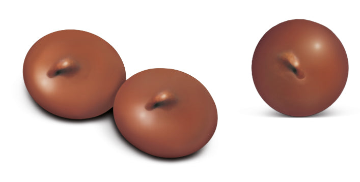 Trixie Dog Safe Chocolate Drops  | Vegetarian & No Cocoa | Training Treats