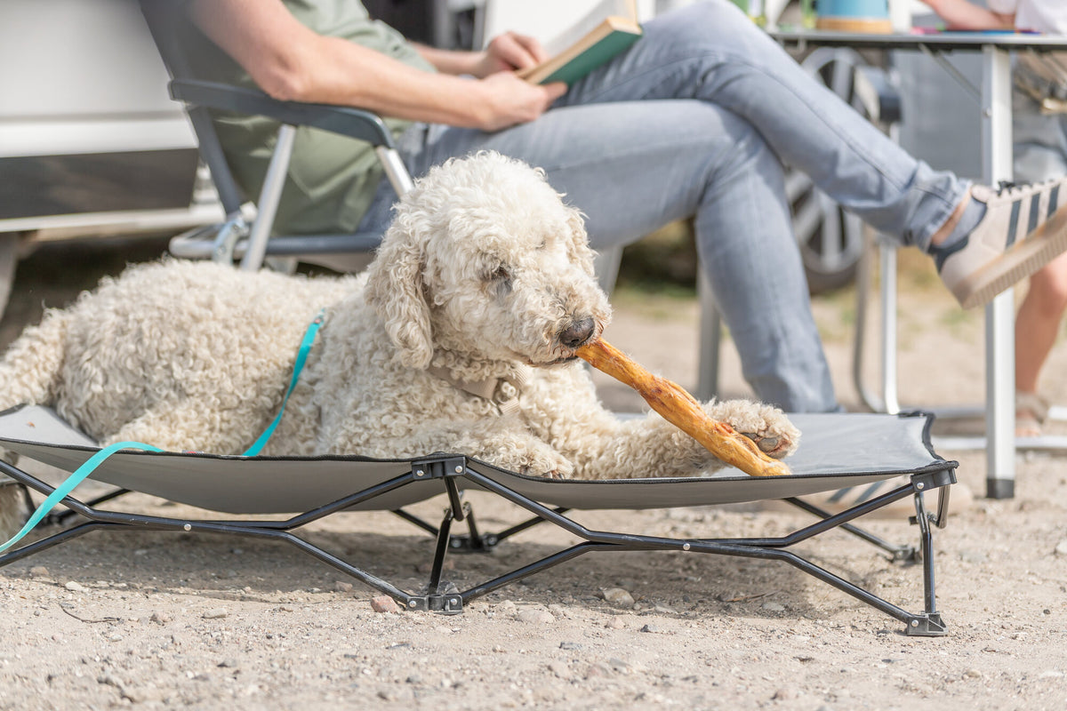Trixie Rabbit Skin Roll with Fur | 45-50cm Natural Dog Chew 85g
