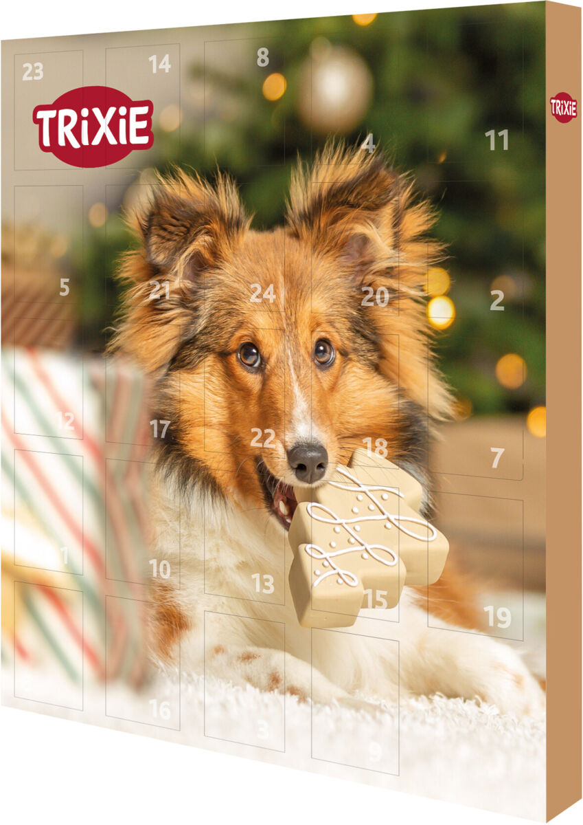 Trixie dog advent calendar with a Shetland sheepdog holding a bone-shaped treat.