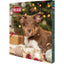 Trixie Dog Advent Calendar | 24 Soft Snack Treats | PetConnection