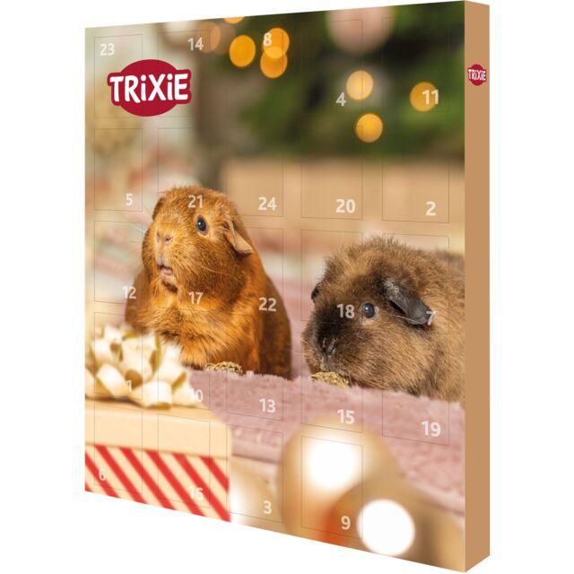 Trixie pet product small animal advent calendar with two guinea pigs on a festive background