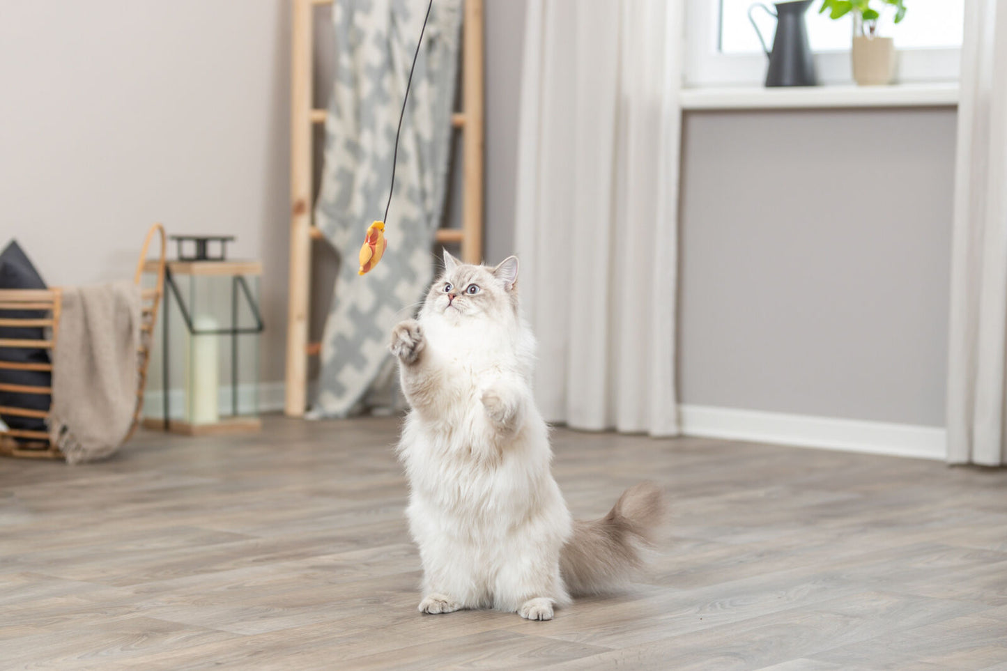 Trixie Cat Playing Rod with Soft Fish Toy