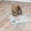 Trixie | Cat Activity Fun Board Strategy Game Toy | Five-in-One Puzzle For Cats