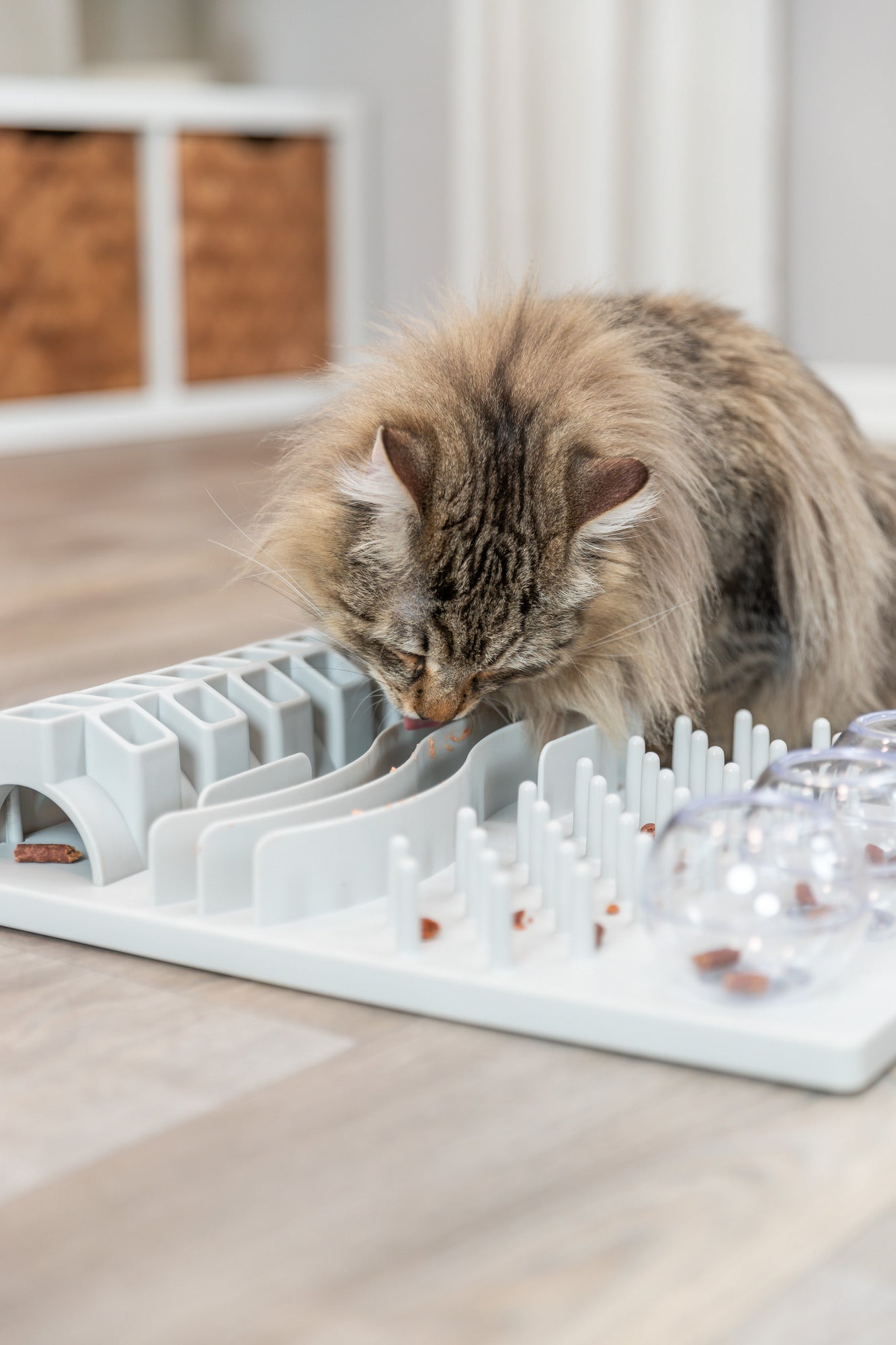 Trixie | Cat Activity Fun Board Strategy Game Toy | Five-in-One Puzzle For Cats