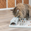 Trixie | Cat Activity Fun Board Strategy Game Toy | Five-in-One Puzzle For Cats