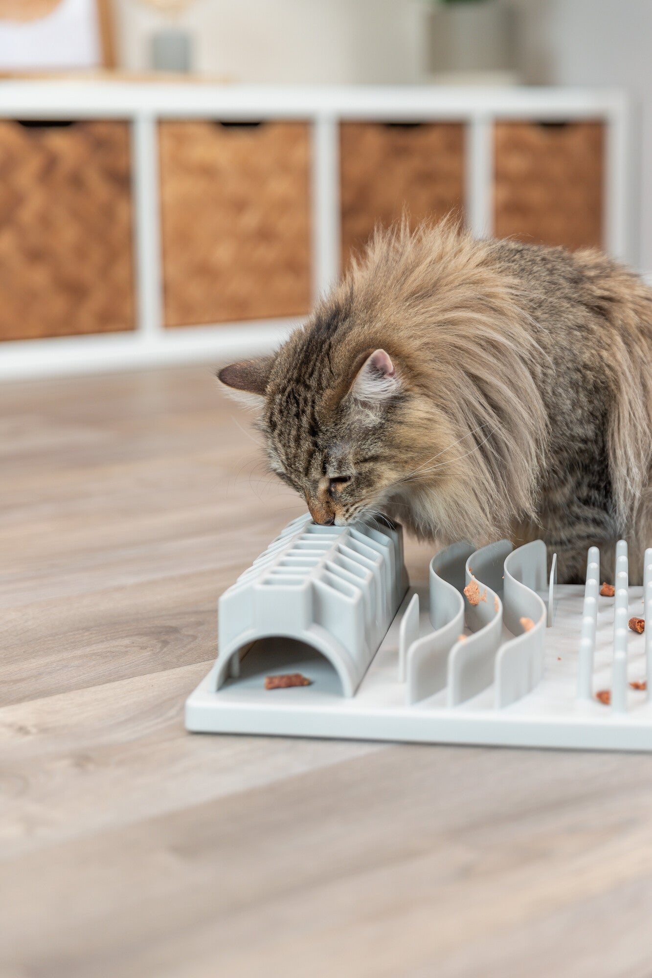 Trixie | Cat Activity Fun Board Strategy Game Toy | Five-in-One Puzzle For Cats