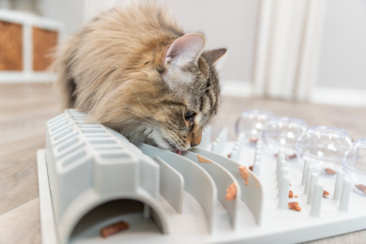 Trixie | Cat Activity Fun Board Strategy Game Toy | Five-in-One Puzzle For Cats