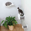 Trixie Wall Mounted Cat Climbing Step | Sisal Scratching Perch