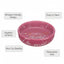 Pink pet bowl with 'Thanks for service!' text and paw prints on a white background