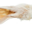 Trixie Dried Rabbit Ears with Fur Dog Chews | 100g & 500g