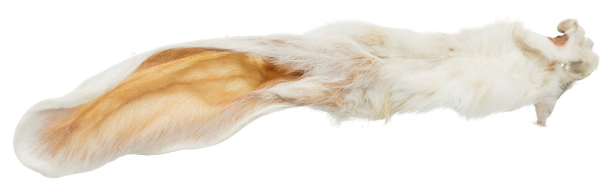 Trixie Dried Rabbit Ears with Fur Dog Chews | 100g & 500g