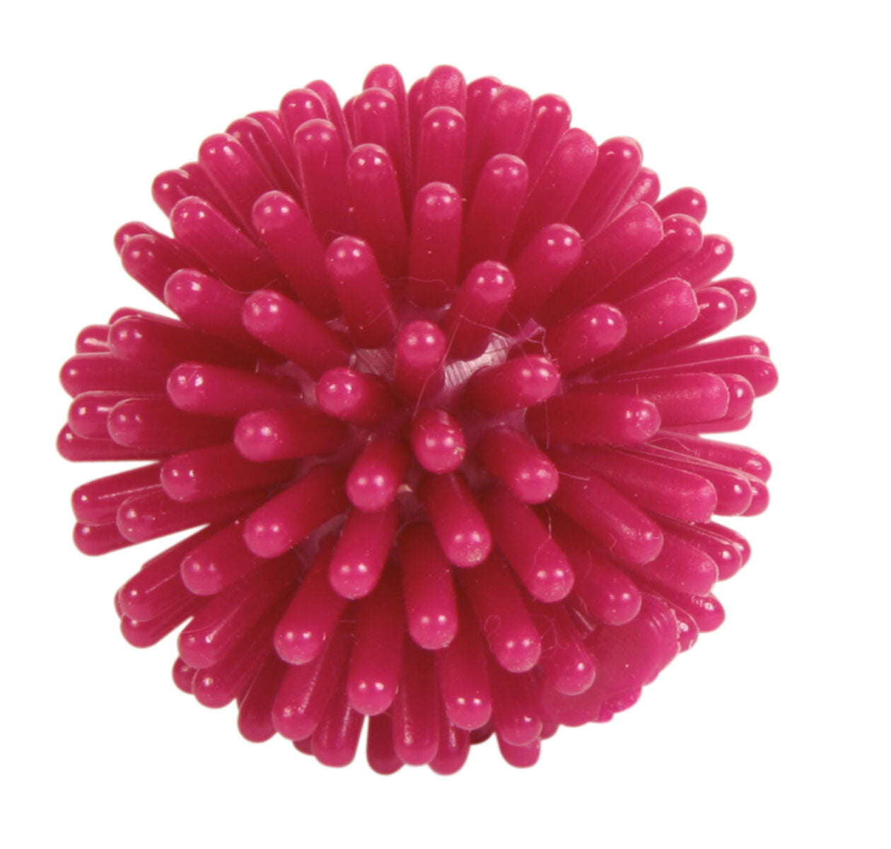 Trixie | Cat Hedgehog Ball | Activity Toy