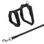 Black cat harness and leash set on a white background