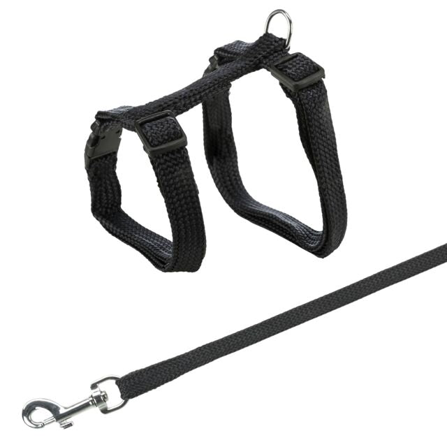 Black cat harness and leash set on a white background