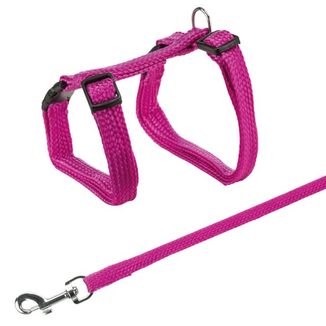 Pink cat harness and leash set on a white background
