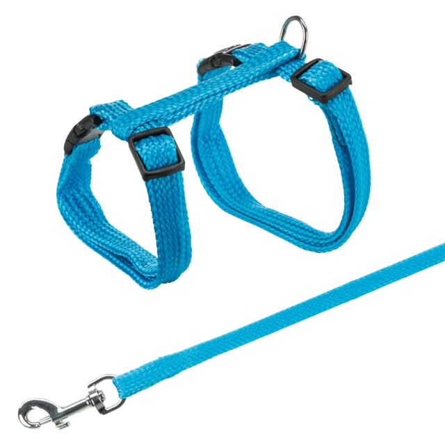 Blue cat harness and leash set on a white background