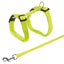 Yellow cat harness and leash set on a white background
