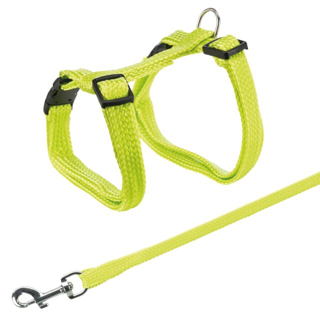 Yellow cat harness and leash set on a white background