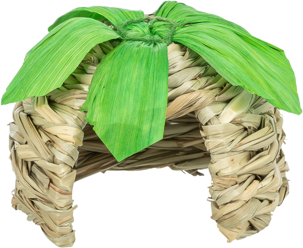 Grass pet house with green leaves on a white background