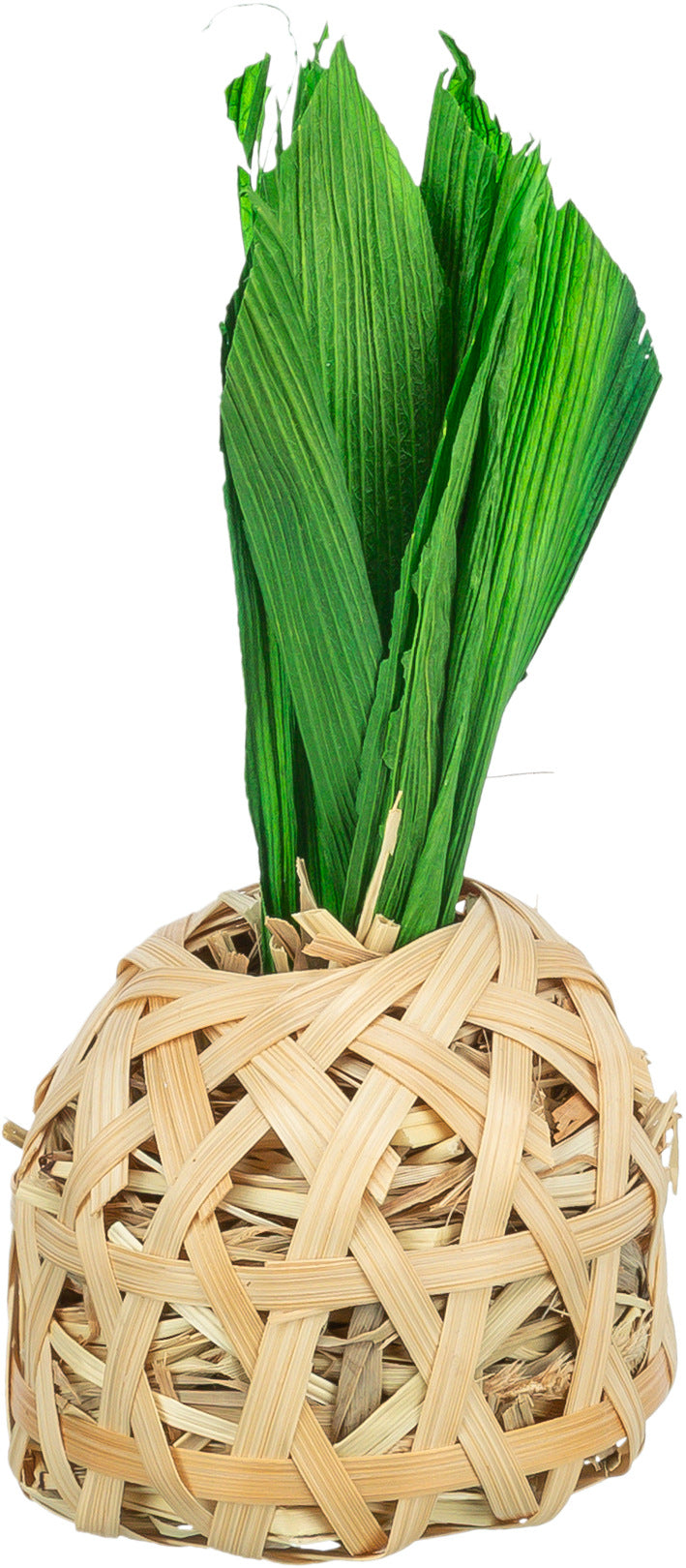 Trxie Edible Pineapple Foraging Toy | Bamboo & Hay for Pets
