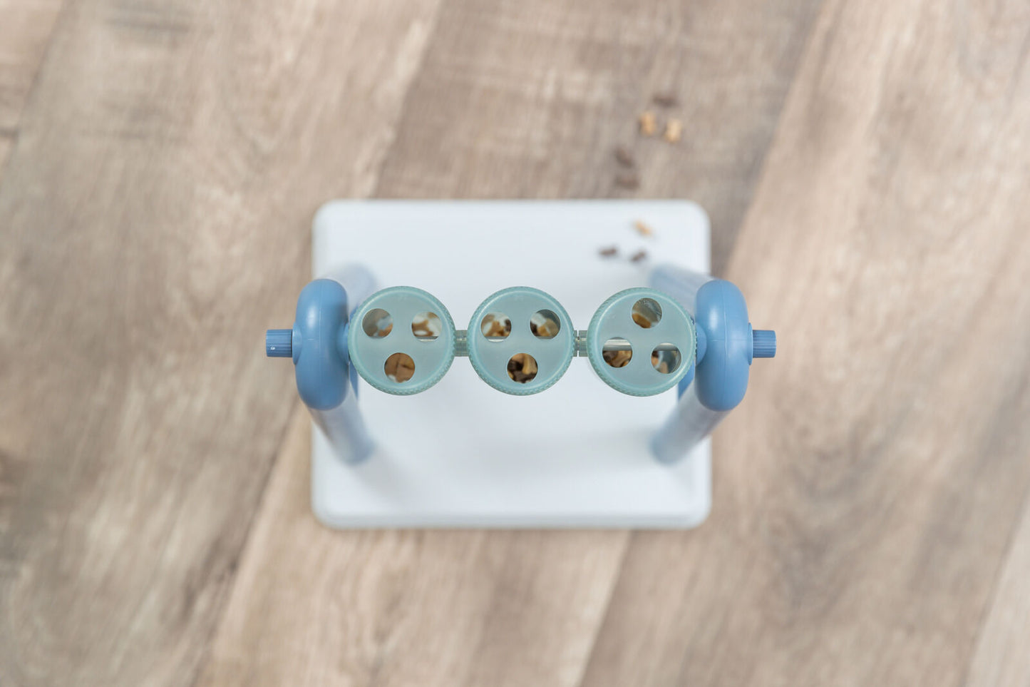 Trixie Turn Around Strategy Game (Level 2) | Dog Puzzle Toy