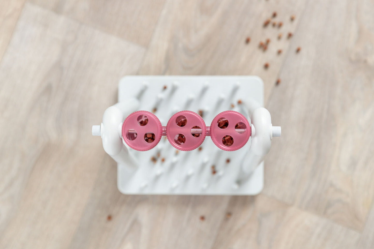 Trixie Turn Around Strategy Game | Cat Puzzle Feeder & Interactive Toy