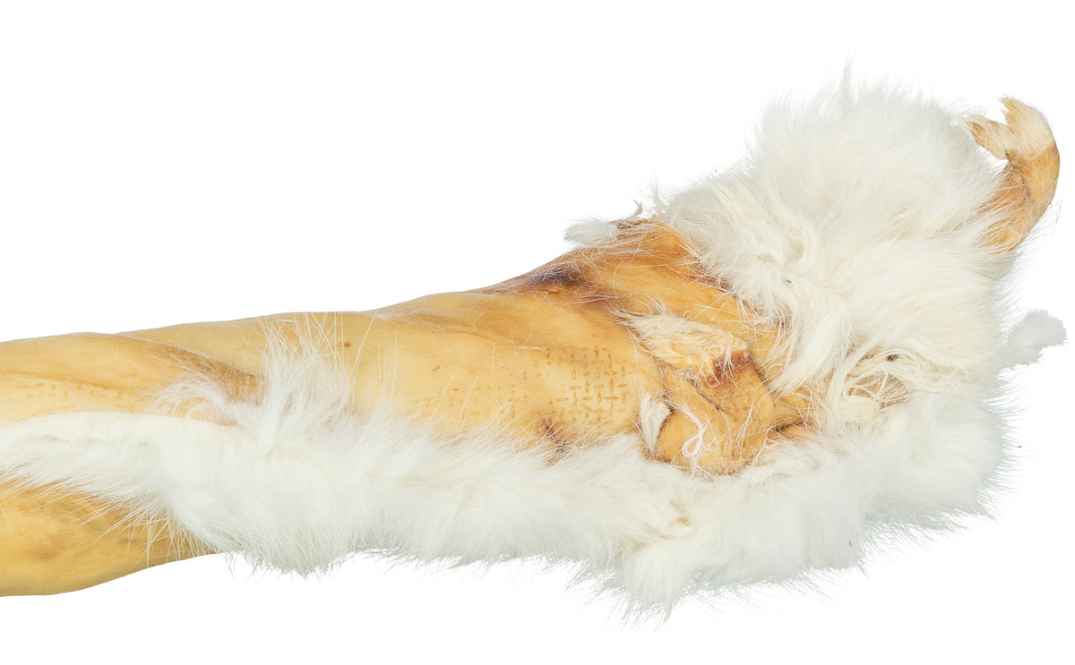 Trixie Rabbit Skin Roll with Fur | 45-50cm Natural Dog Chew 85g