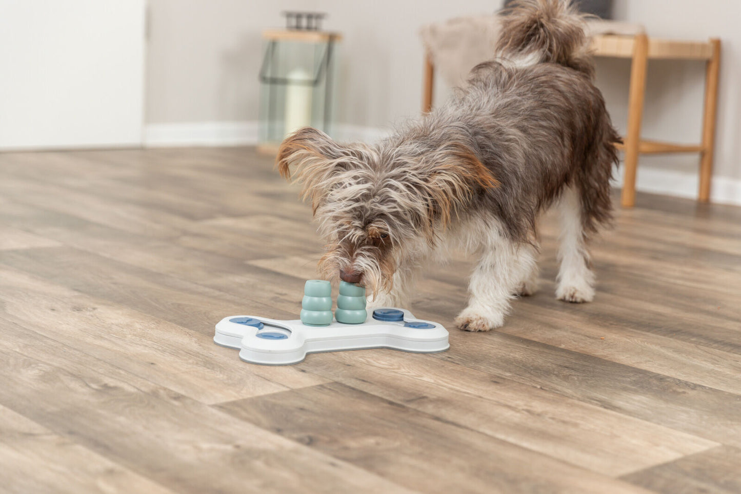 Trixie Flip Bone Dog Toy | Interactive Puzzle Feeder for Dogs