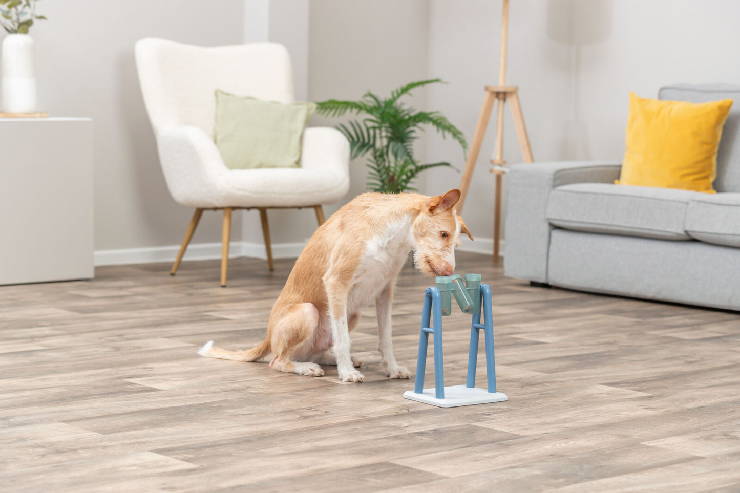 Trixie Turn Around Strategy Game (Level 2) | Dog Puzzle Toy