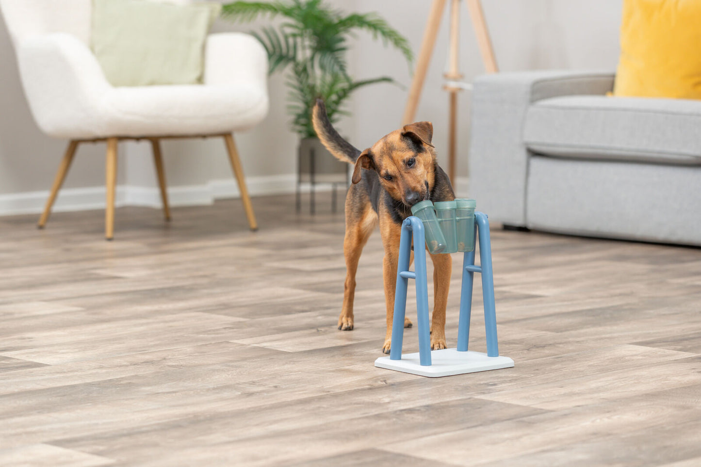 Trixie Turn Around Strategy Game (Level 2) | Dog Puzzle Toy