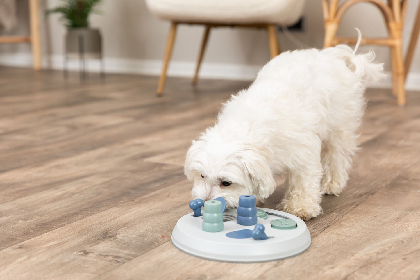 Trixie Dog Activity Flip Board Strategy Game – Level 2 (UK & Ireland)