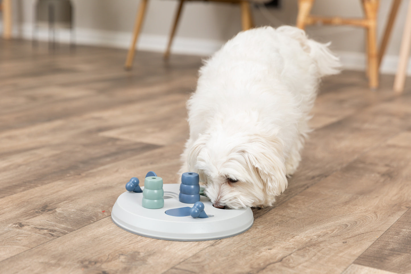 Trixie Dog Activity Flip Board Strategy Game – Level 2 (UK & Ireland)