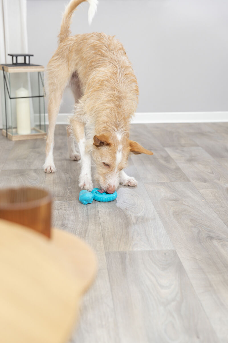 Trixie | TPR Snack Snake | Food Puzzle Dog Toy