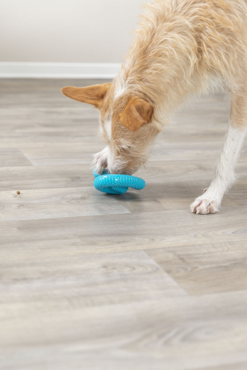 Trixie | TPR Snack Snake | Food Puzzle Dog Toy