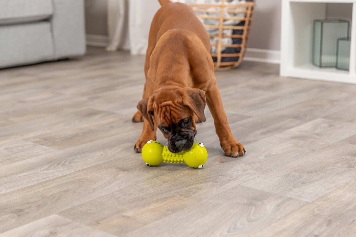 Trixie Latex Smiley Dumbbell | Large Dog Toy