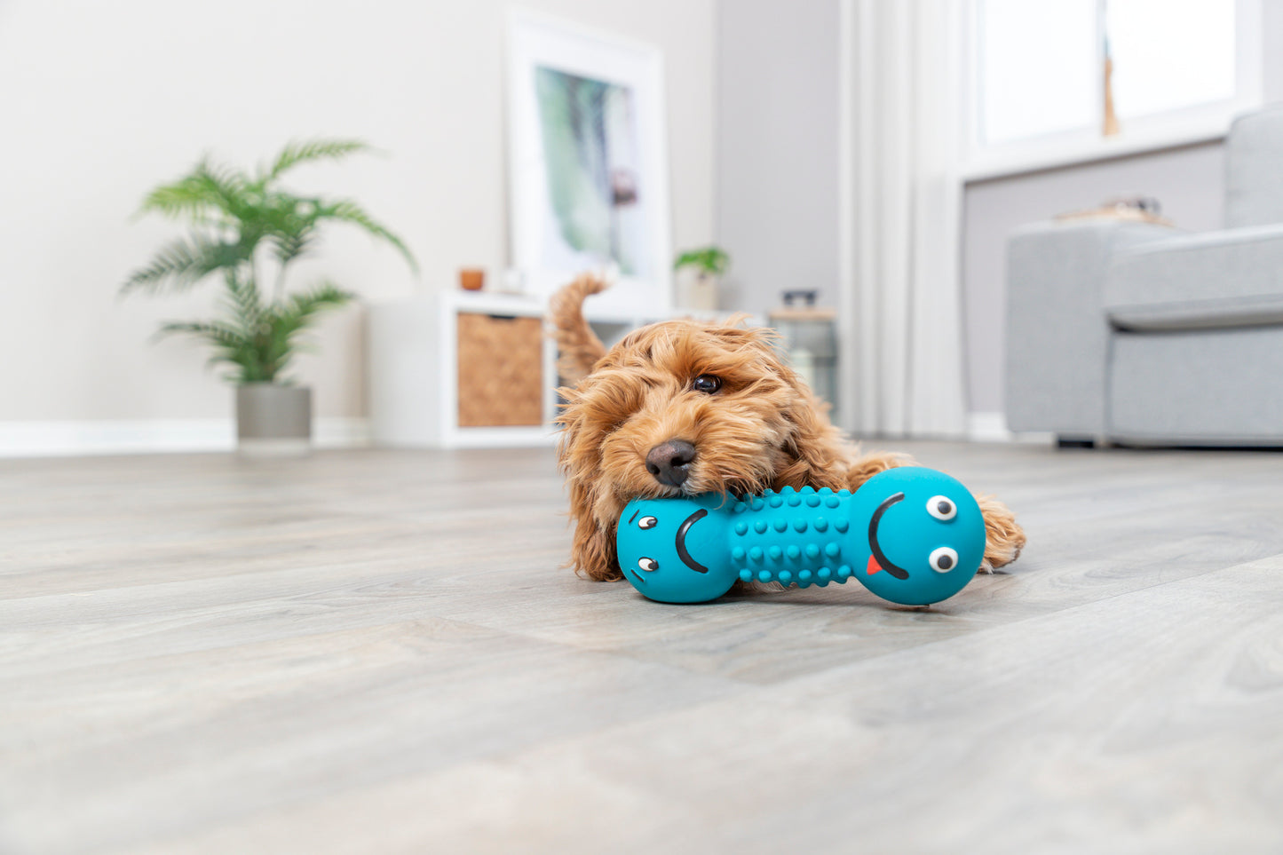 Trixie Latex Smiley Dumbbell | Large Dog Toy