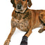 Trixie Walker Active Protective Boots | Supportive, Non-Slip Paw Protection for Dogs