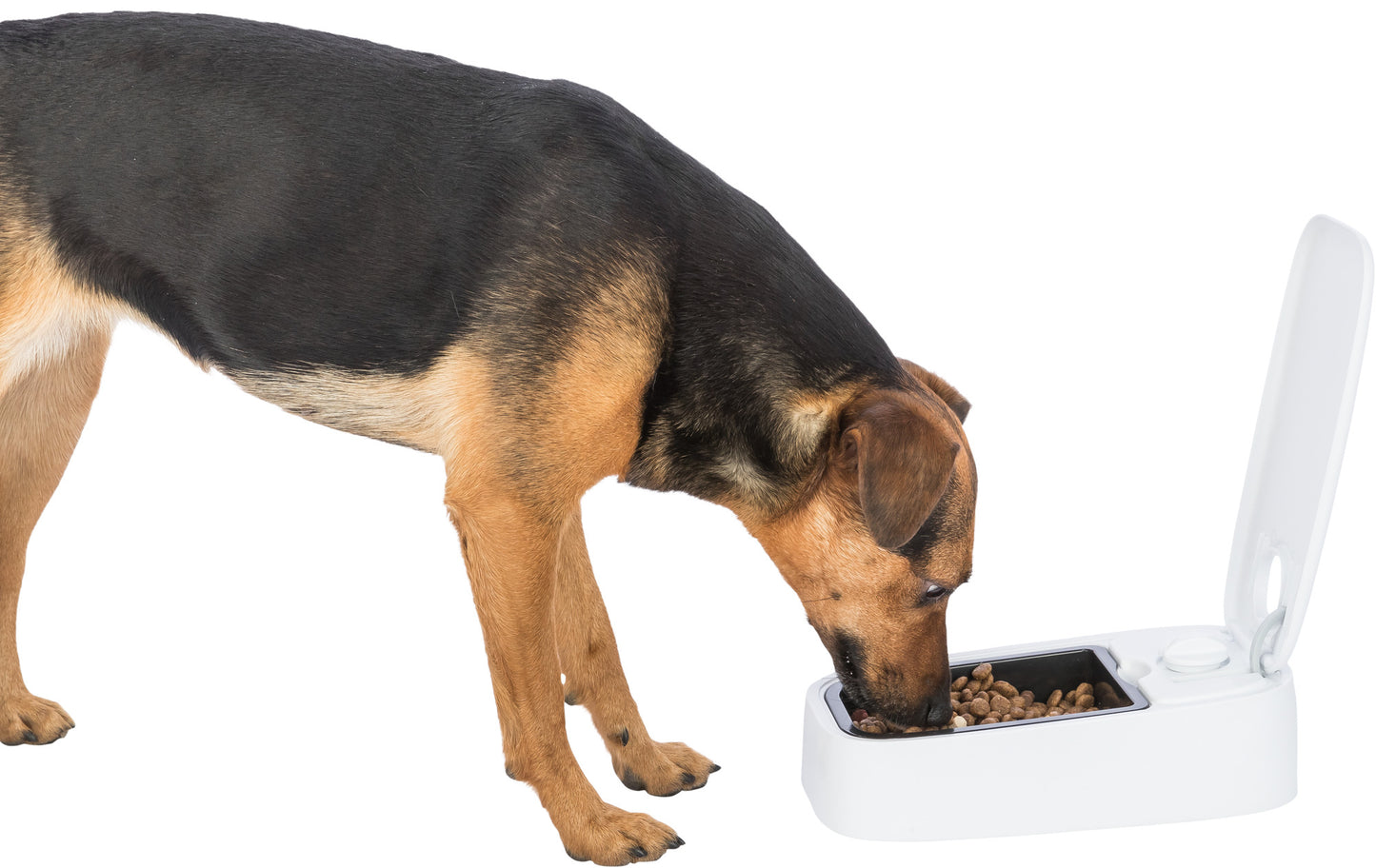 Trixie Automatic Dog Feeder – 0.3L Timed Wet/Dry Food Dispenser