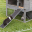 Ramp for rabbit and guinea pig huthes shown against a double layer rabbit hutch. 