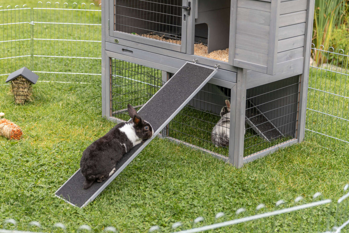 Ramp for rabbit and guinea pig huthes shown against a double layer rabbit hutch. 
