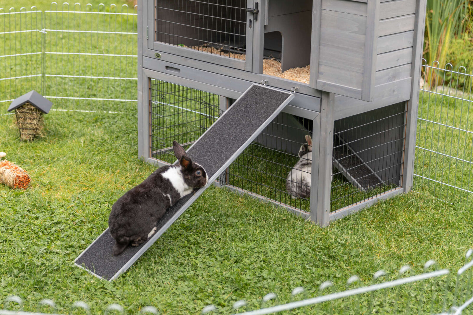 Ramp for rabbit and guinea pig huthes shown against a double layer rabbit hutch. 