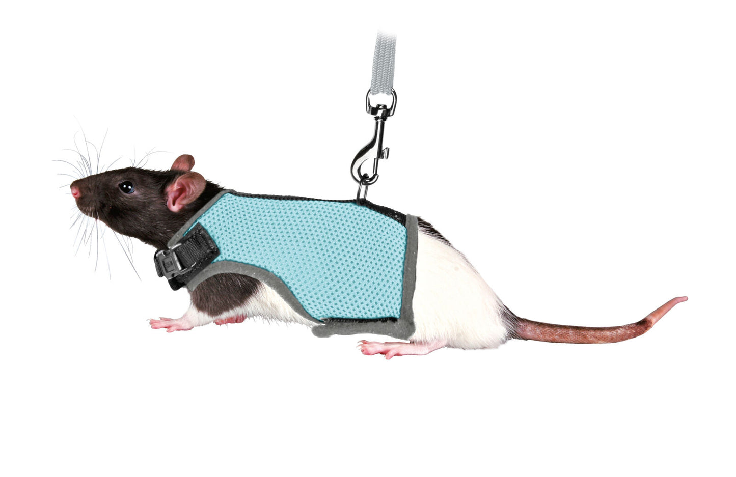 Trixie | Small Pet Enrichment | Soft Rat Harness with Lead