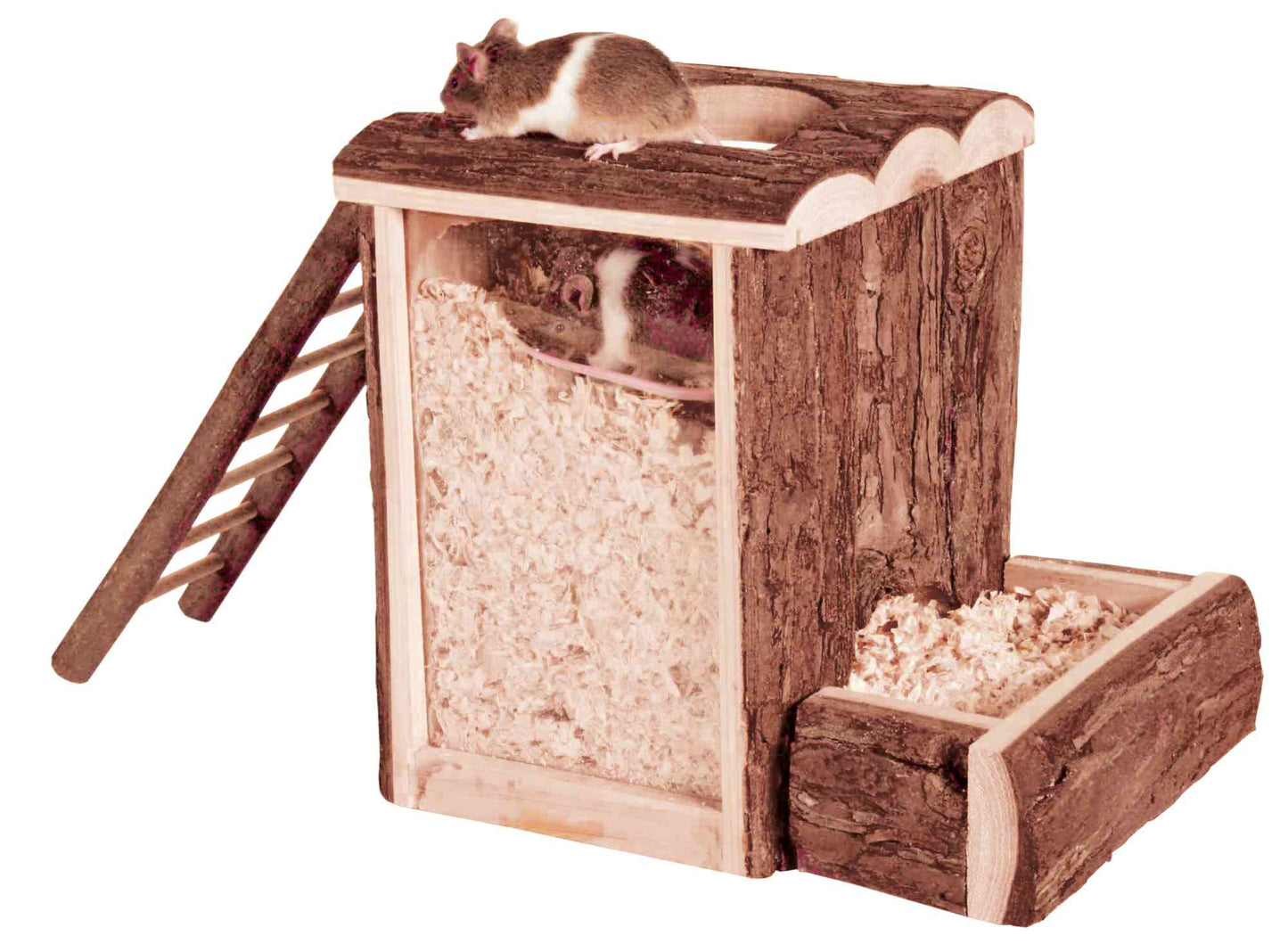 Wooden hamster tower with shavings inside to create a cosy underground bed. Glass side for observation background