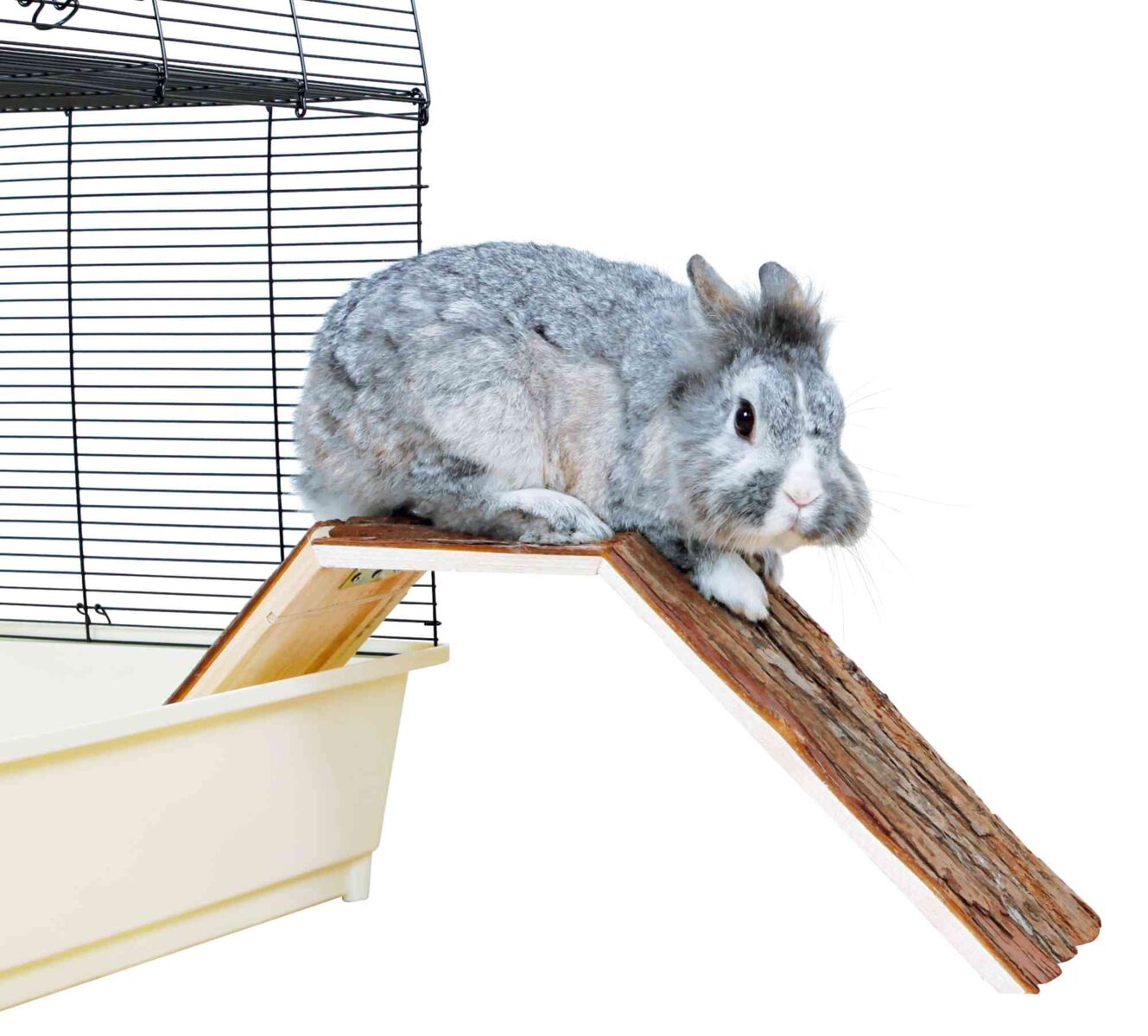 Natural Wood Cage Bridge 63cm | Resin-Free Small Pet Ramp | Ireland & UK