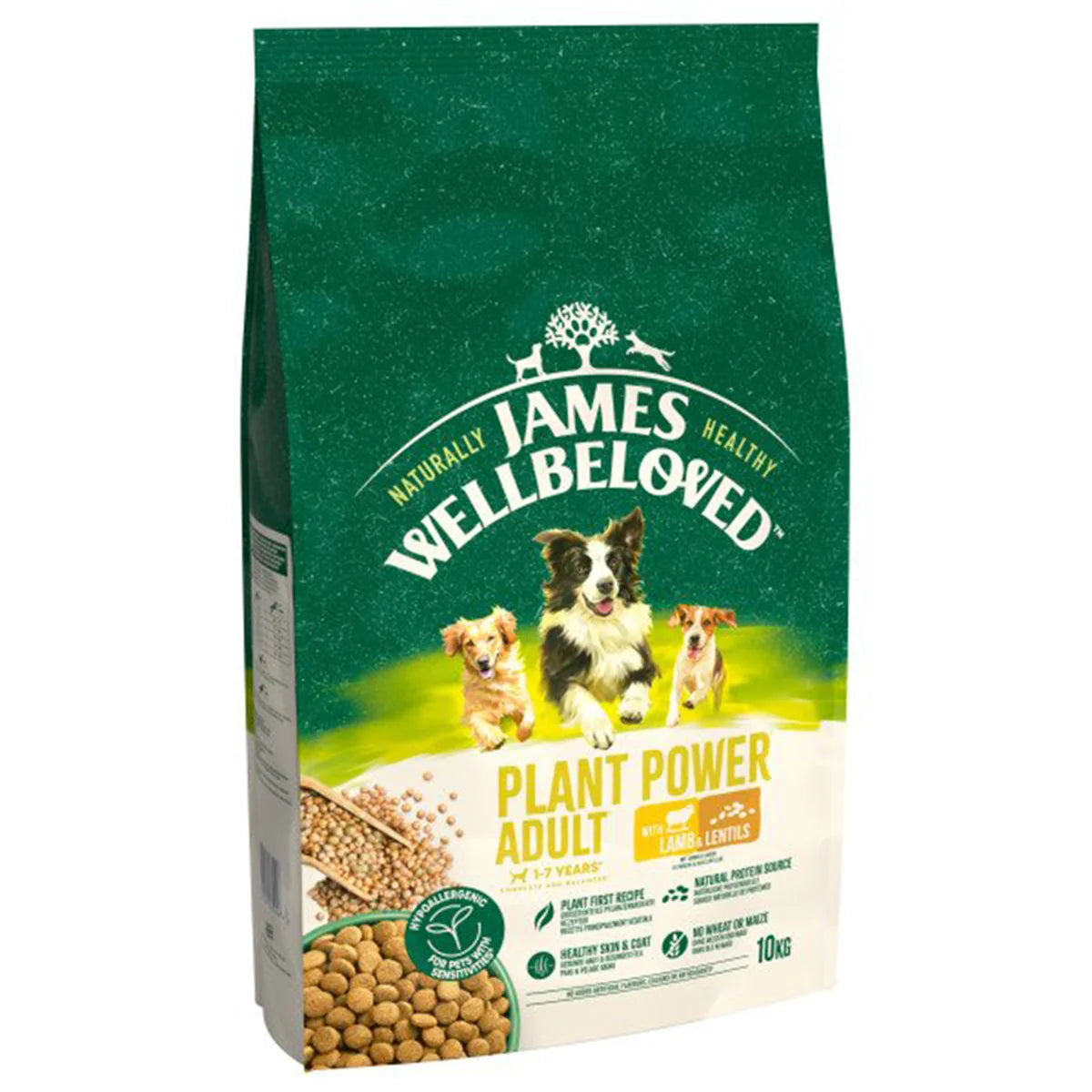 Bag of James Wellbeloved plant power adult dog food on a white background