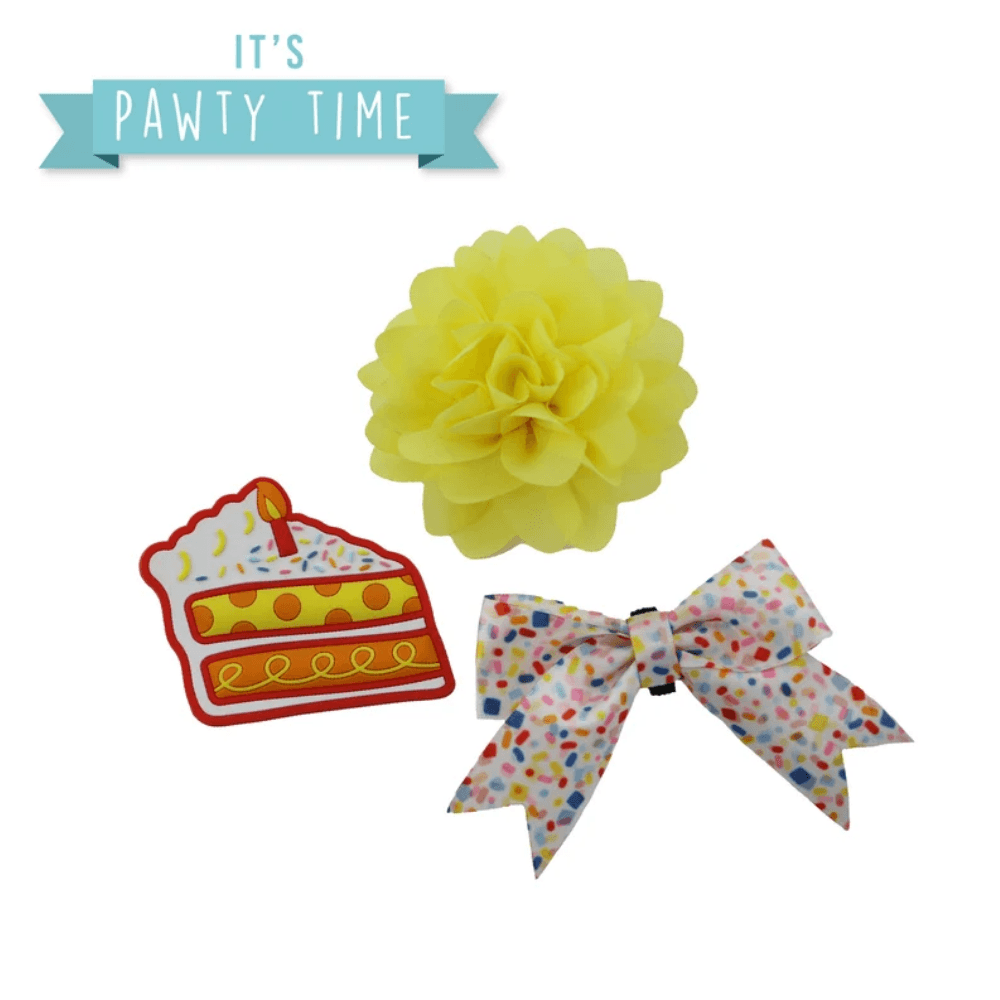 Pawty Time Sprinkle Cake Accessory Set