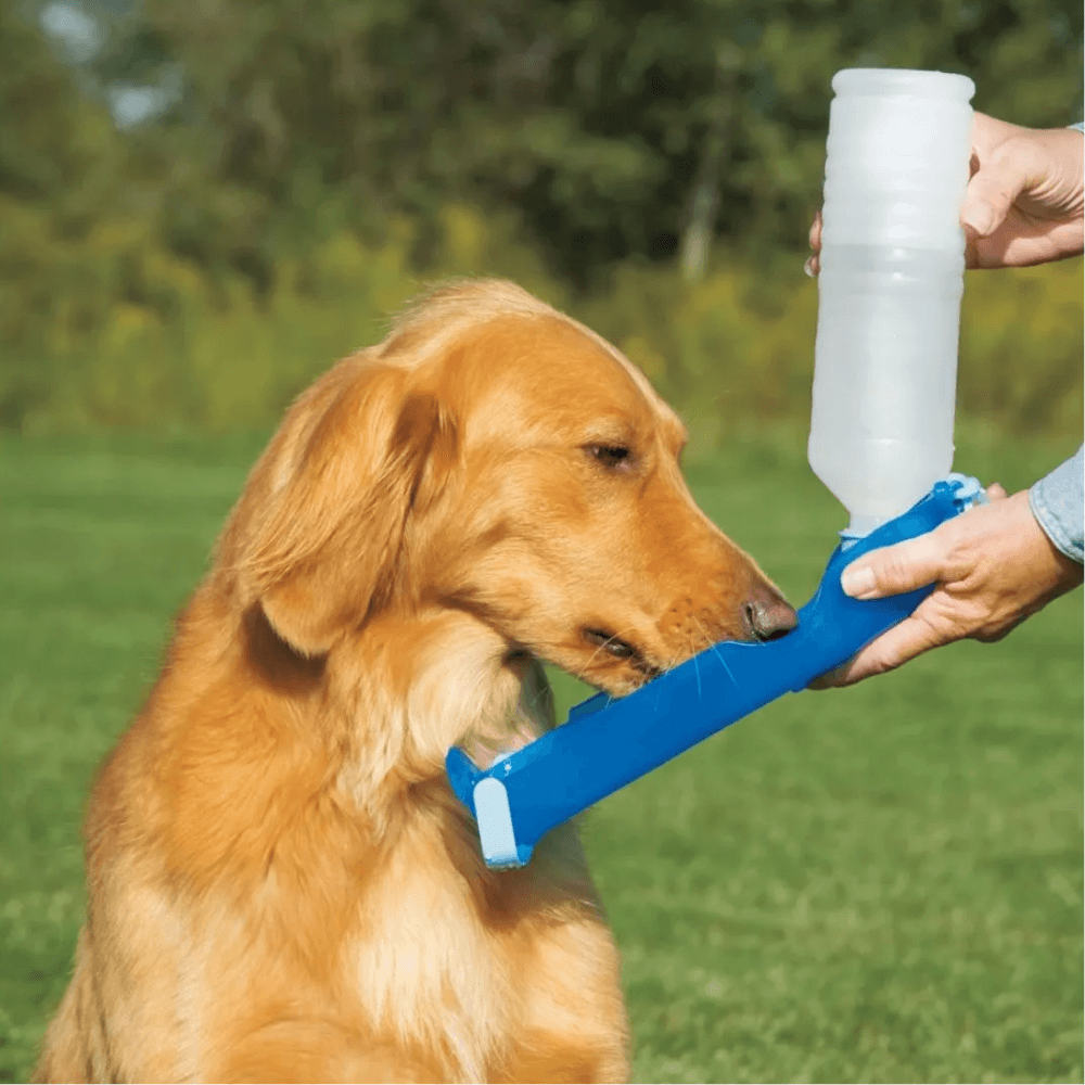 Pawise Travel Bottle 500ml